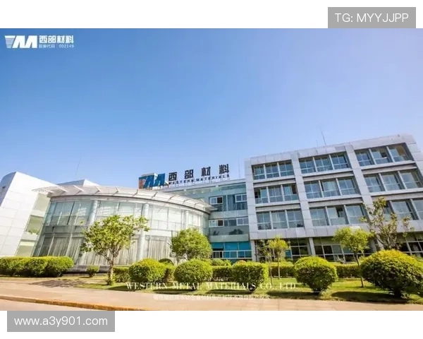 民族企业家引领时代创新发展推动国家产业全面振兴与社会进步之路